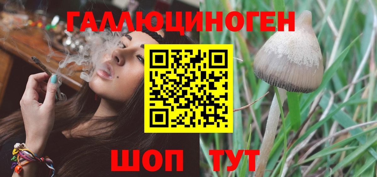 Ноябрьск  Галлюциногенные грибы Cubensis  Вход с VPN 