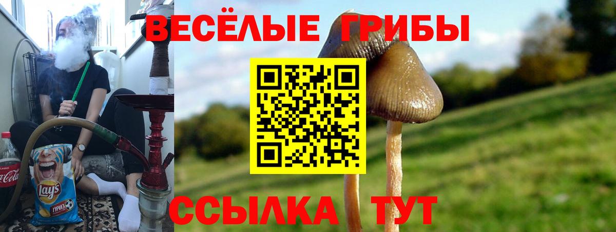 Псилоцибиновые грибы GOLDEN TEACHER Ноябрьск
